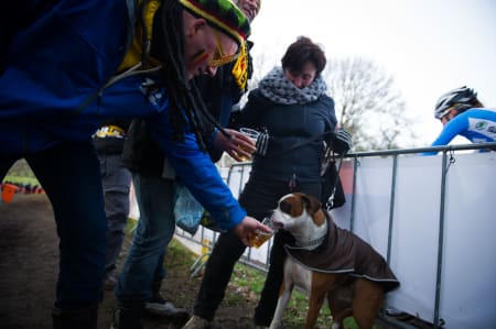 ØLHUND: Både donører, hund og eier satte mer pris på å få Fido full enn å se på rittet.