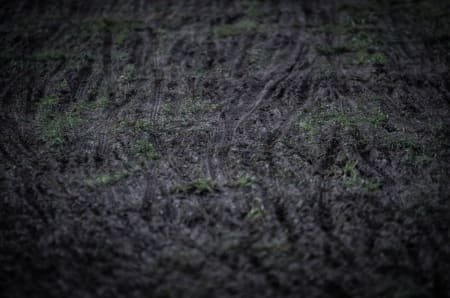 GJØRMEBAD: Her var det gress da vi kom, noe som brått ble til gjørme. I morgen er det meldt regn, med fare for mye løping.